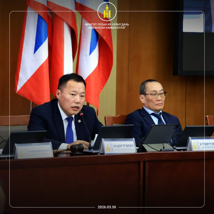 АН-ын бүлэг ЕРӨНХИЙЛӨГЧИЙН САНААЧИЛСАН ХУУЛИЙГ дэмжихгүй гэдгээ мэдэгдлээ